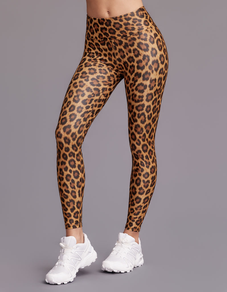 HS-4194_CHEETAH_1_47e03d6b-
